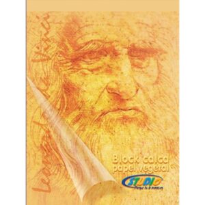 Block Calca Vegetal (25H)
