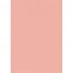 Cartulina Premium 500X700 Rosado