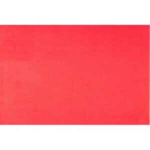 Fomi TC 1/10 Rojo